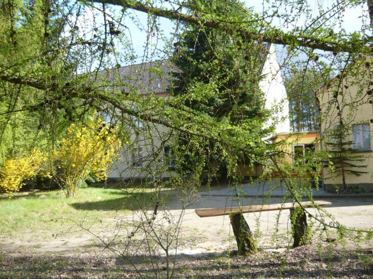 Grosse Wohnung Nossentiner Huette Dış mekan fotoğraf